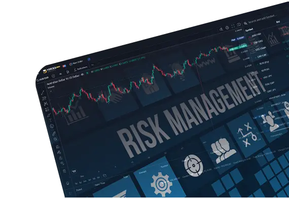 risk management